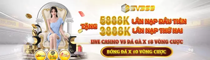 Biểu đồ hoạt động SV368